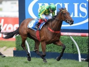 Geelong Cup test for Wheal Leisure