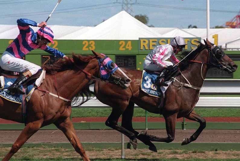 Melbourne Cup 2023: How Vintage Crop's 1993 win changed the Cup forever