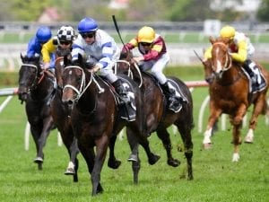 Kaonic win confirms Carbine Stakes start