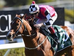 In-form Nictock faces new challenges