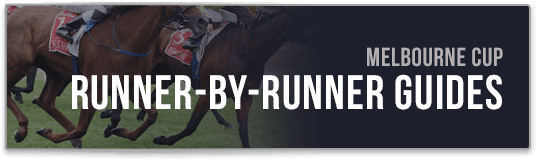 runner by runner guide melbourne cup