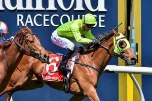 Sin To Win salutes at Caulfield