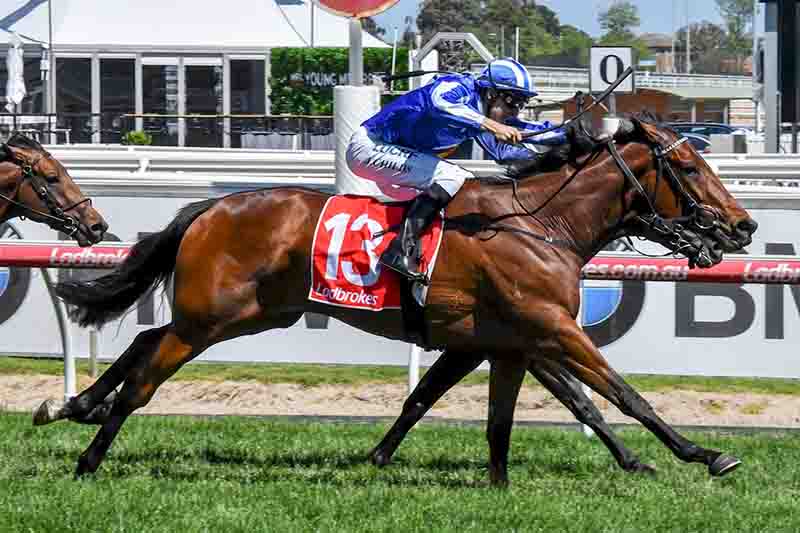 Temple of Bel wins at Caulfield