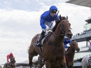 Godolphin colts set for Group One sprint