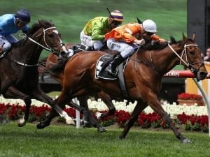 Barman aims to be oldest Melb Cup winner