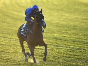 Godolphin confirm Cup for Hartnell