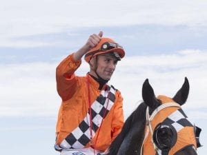 Angland holds trump card for Melbourne win