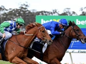 Qewy claims another Cup race in Australia