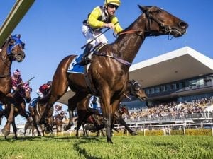 Mighty Lucky seeks to repeat golden summer