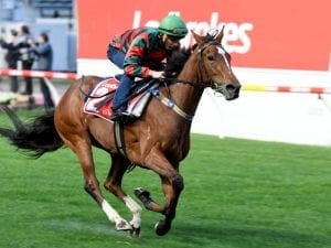 Gang of six tackle Kennedy Mile for Waller