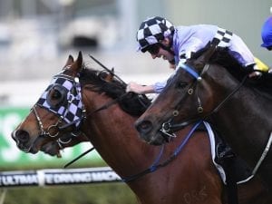 Isorich set for first Listed Sydney start