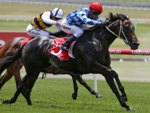 McEvoy wins again on Zipping Classic day