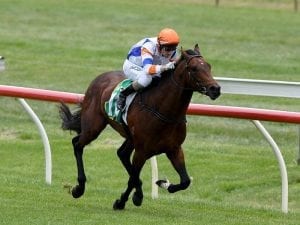 Mallyon impressed by McEvoy-trained colts