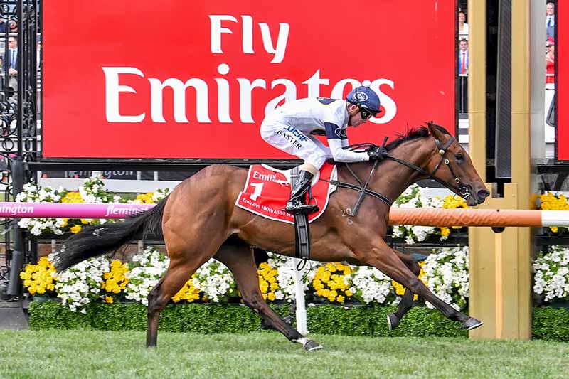 Betting on melbourne cup day at flemington football betting bttsb