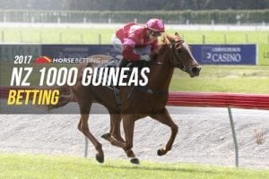 NZ 1000 Guineas betting