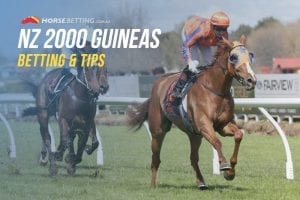 NZ Guineas tips