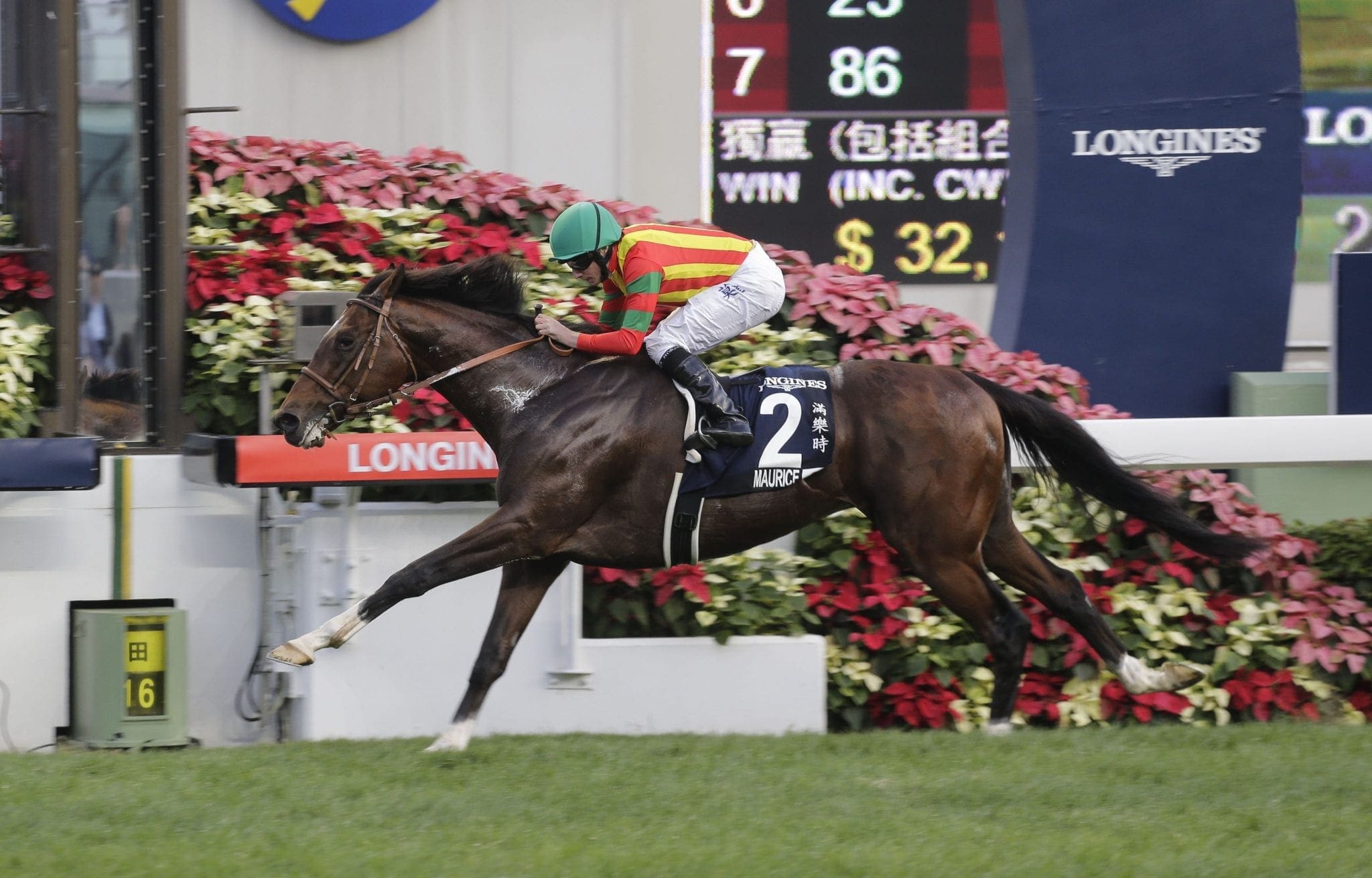 Maurice winning the 2016 G1 Hong Kong Cup