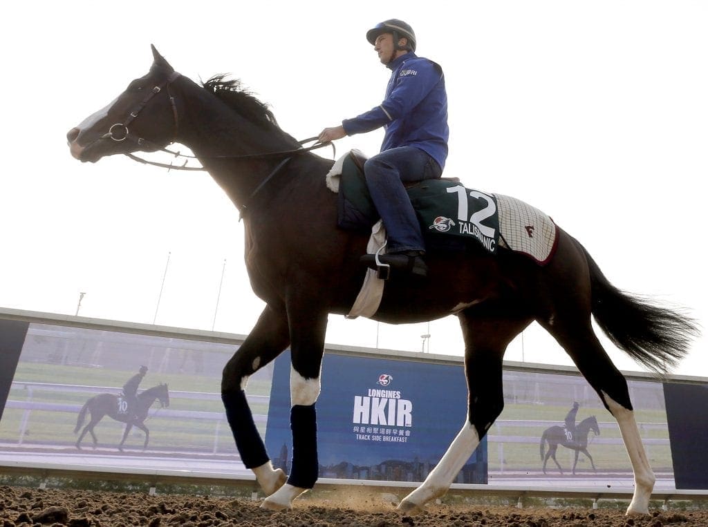 Talismanic at trackwork this morning