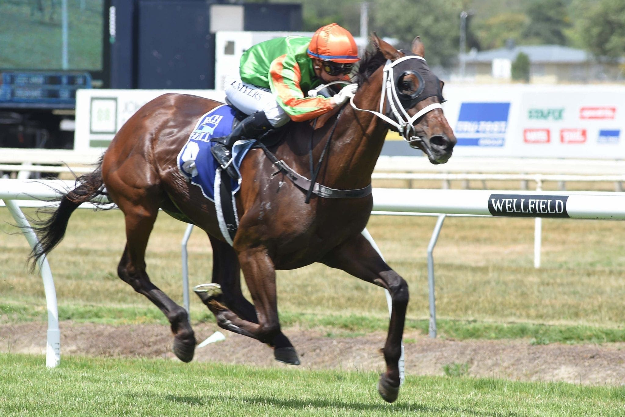 Boxachocolates winning at Awapuni