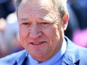 Sunlight may need more racing to be hope in Magic Millions Classic