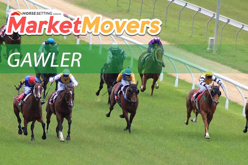 Gawler market movers