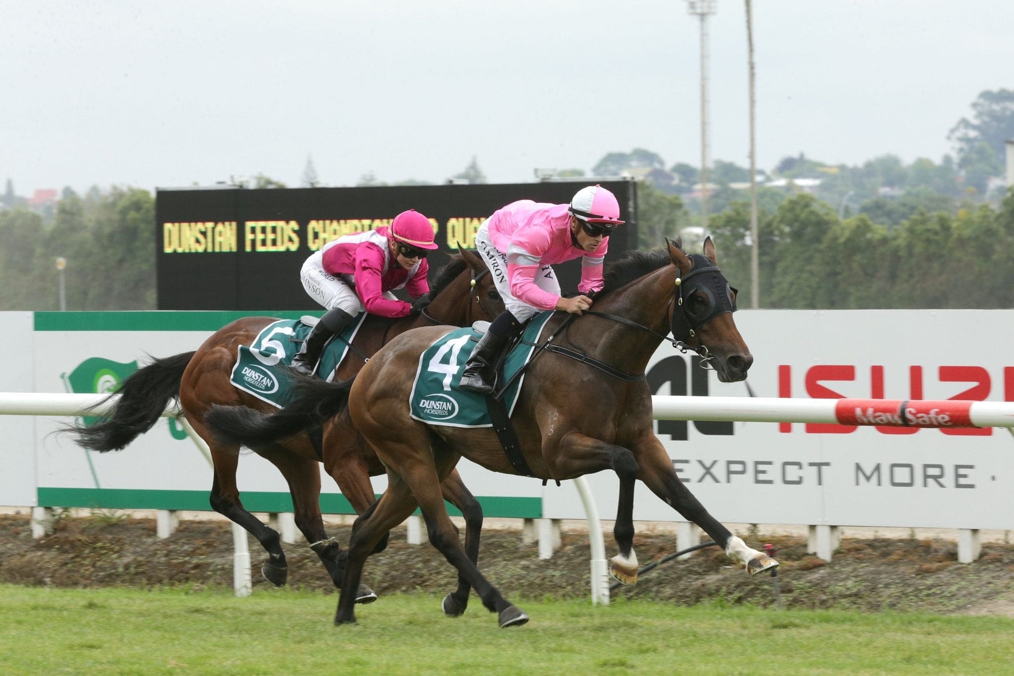 Highlad winning at Te Rapa