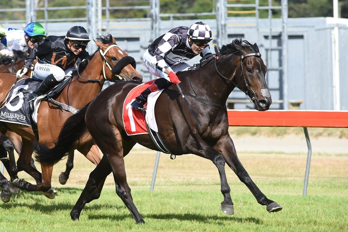 Kawi winning the G1 Captain Cook Stakes