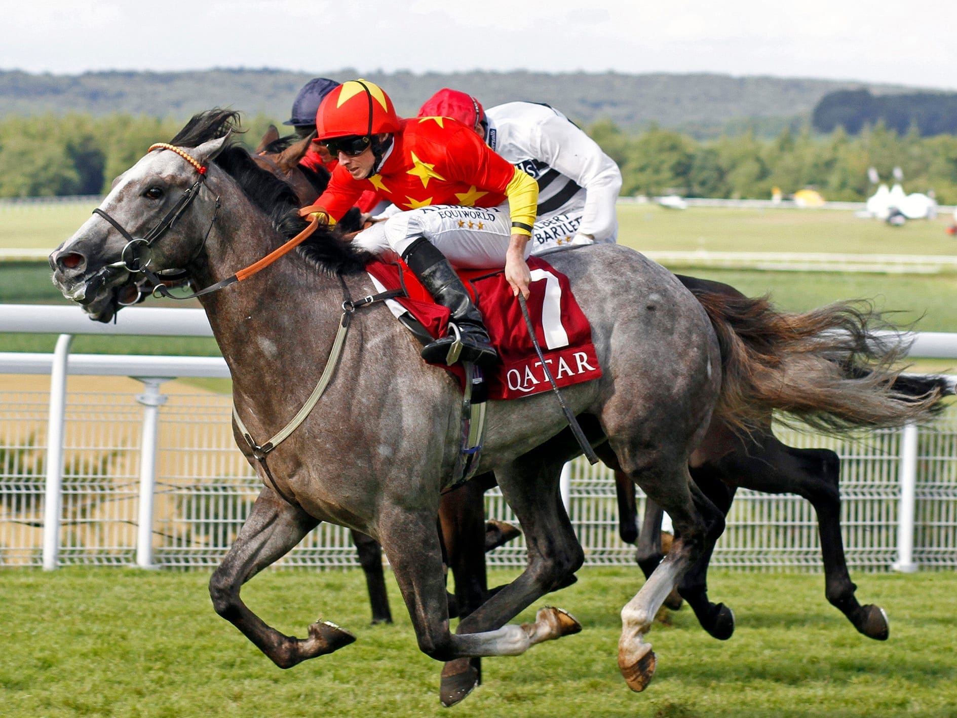 Former Chine Horse Club owned Lockheed