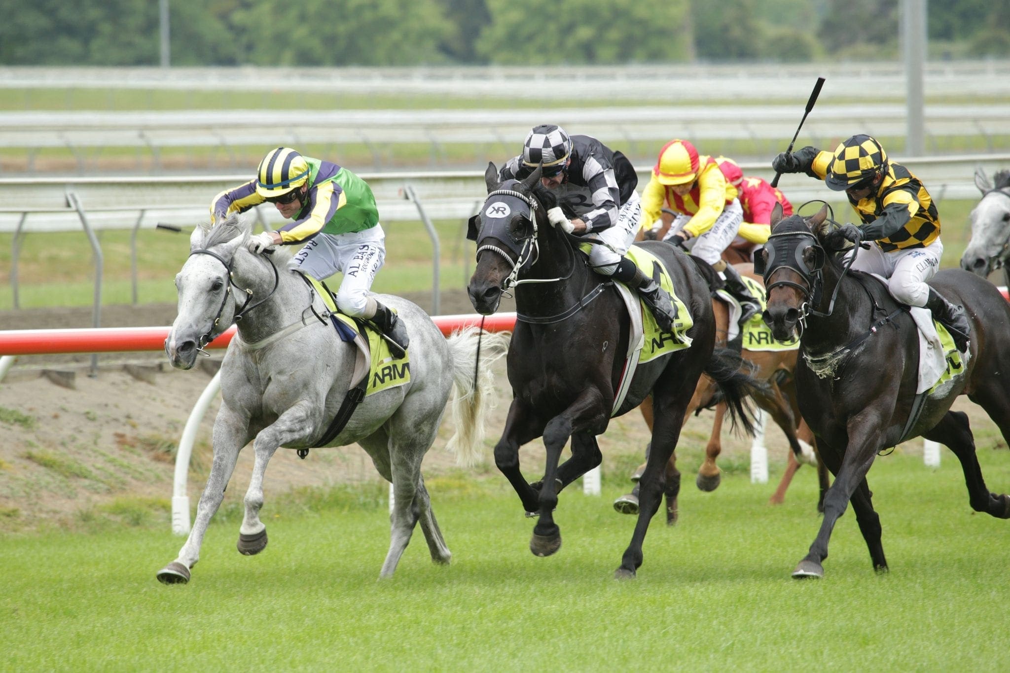 Maygrove will contest the Waikato Cup