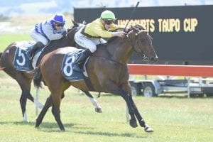 Nothing Trivial winning the 2017 Taupo Cup
