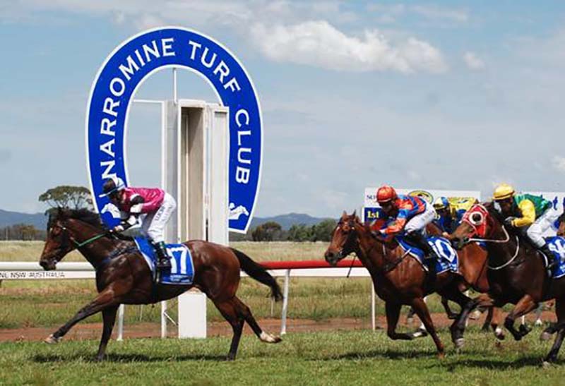 Narromine race movers