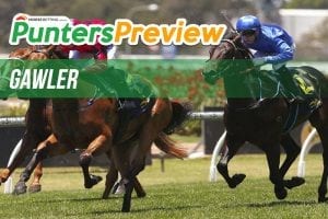 Gawler tips & full form for Wednesday, January 31