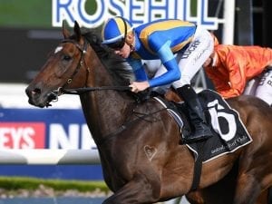 Redouble after trio of wins at Rosehill