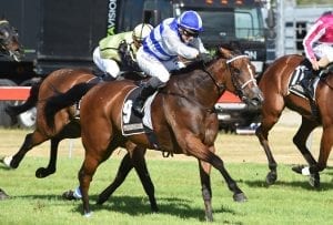 Seraphim overcomes pre-race mishap to win yesterday at Trentham