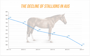 Stallions Graphic