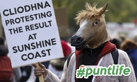 Horse protest
