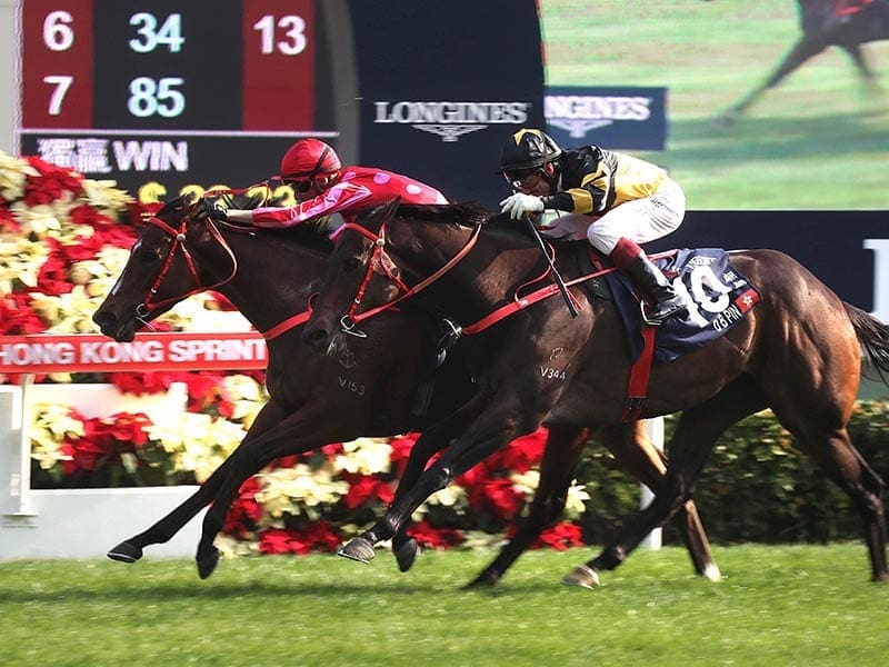 Mr Stunning Nash Rawiller win Hong Kong Sprint