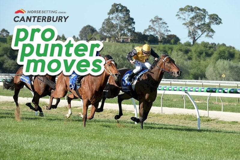 best bets Canterbury races