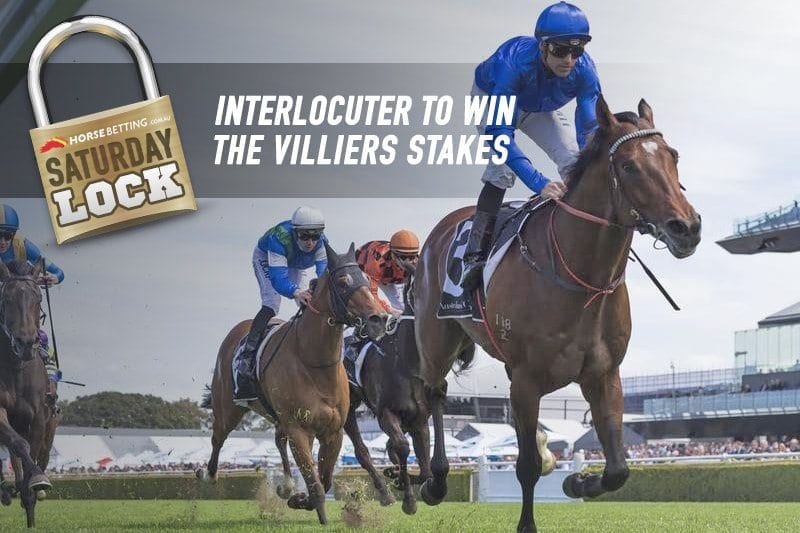 interlocutor Villiers Stakes odds betting