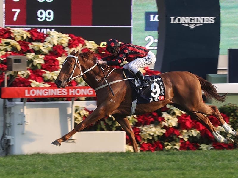 Time Warp wins Hong Kong Cup