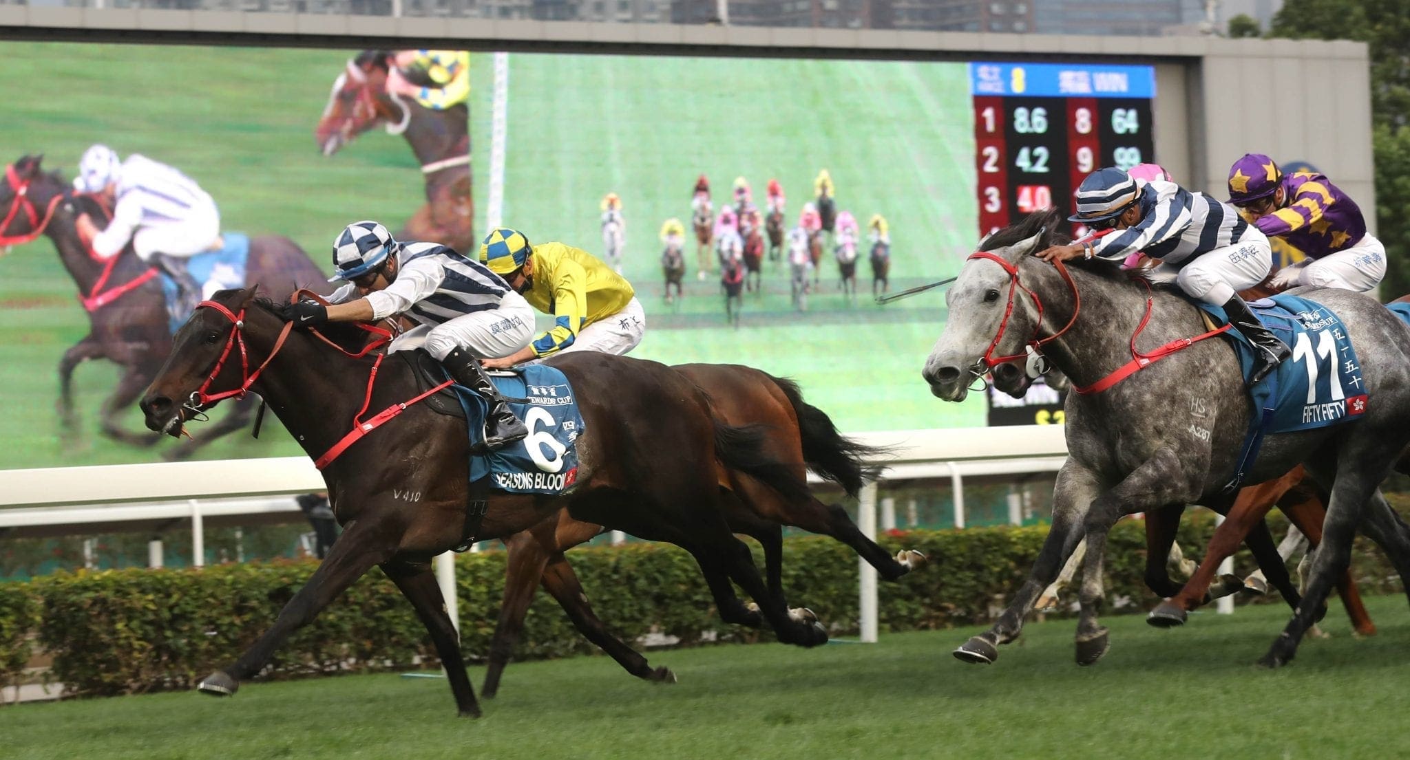 Seasons Bloom & Joao Moreira