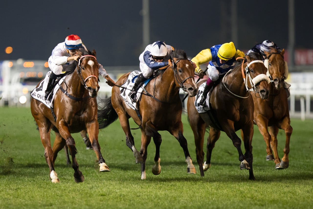 horse racing information on betting