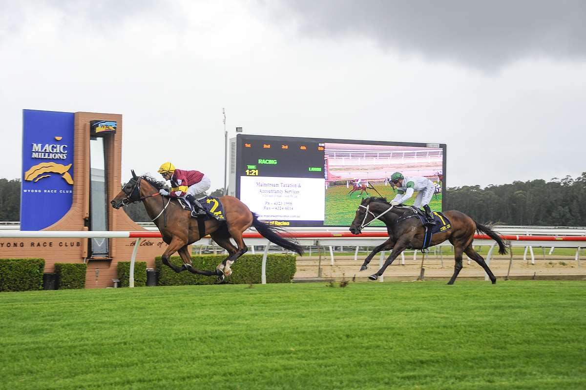 Aqua D'ivina winning at Wyong 