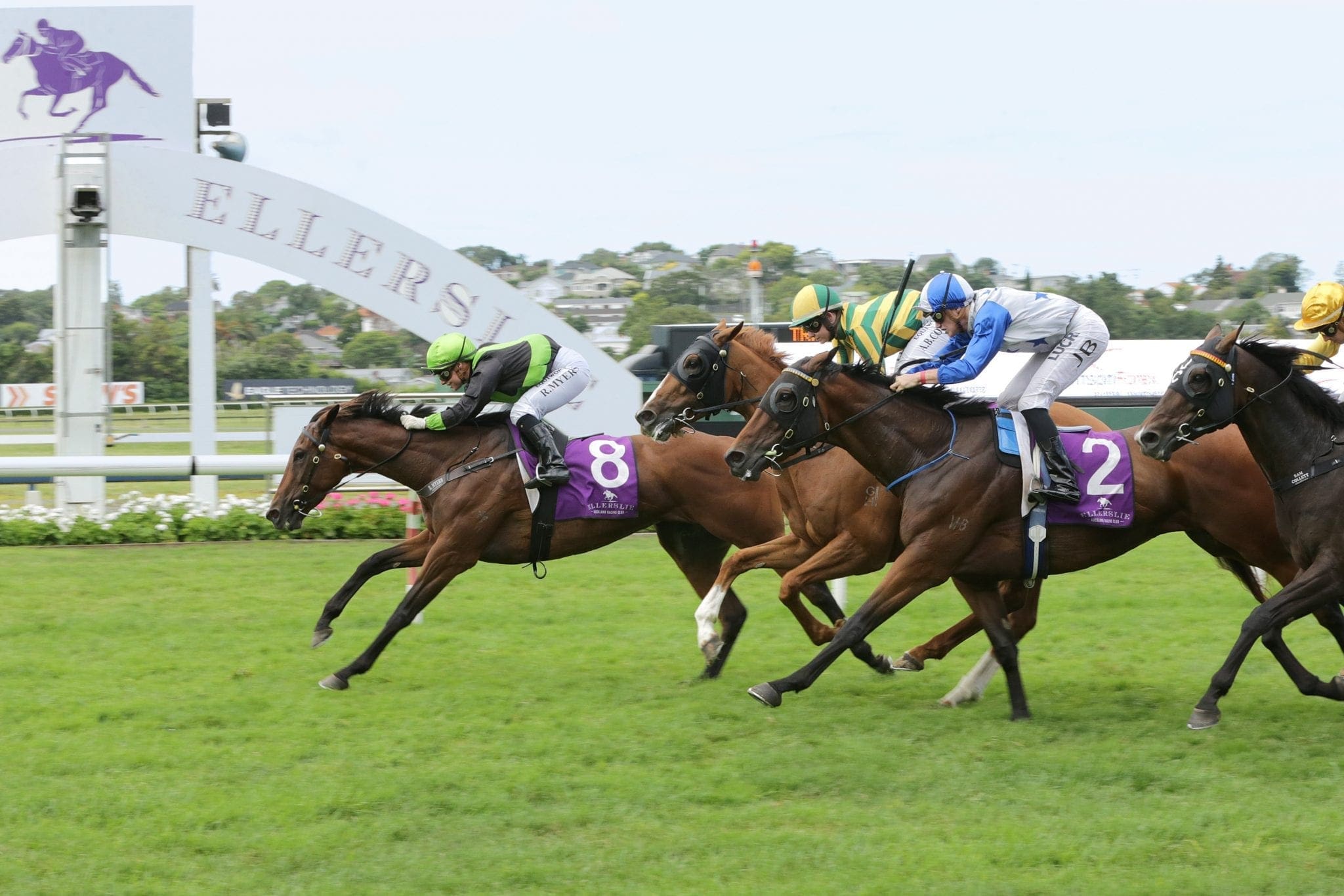 August Edition winning the Karaka Cup