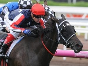 Pretty Punk to chase another Melbourne win prior to Hobart Cup