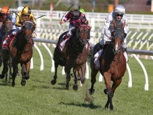 Anthony Freedman trained Bedford wins by big margin at Caulfield