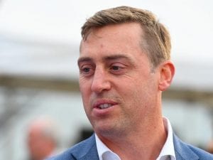 Tony Gollan-trained 2yos to the fore again