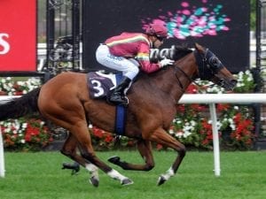 Jacquinot Bay leads all the way to win at Flemington