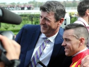 Nature Strip continues rise in Inglis Dash
