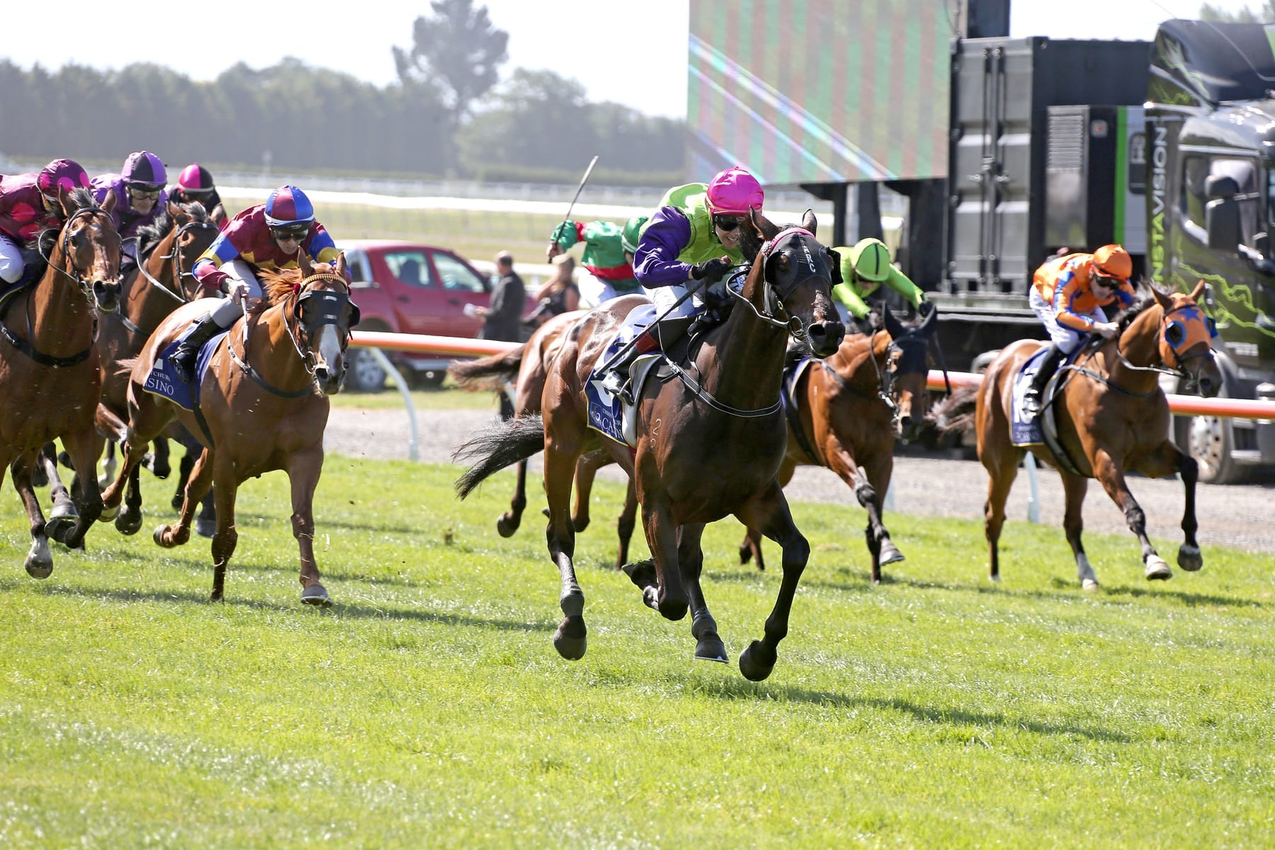 Gobstopper winning the New Zealand Cup 